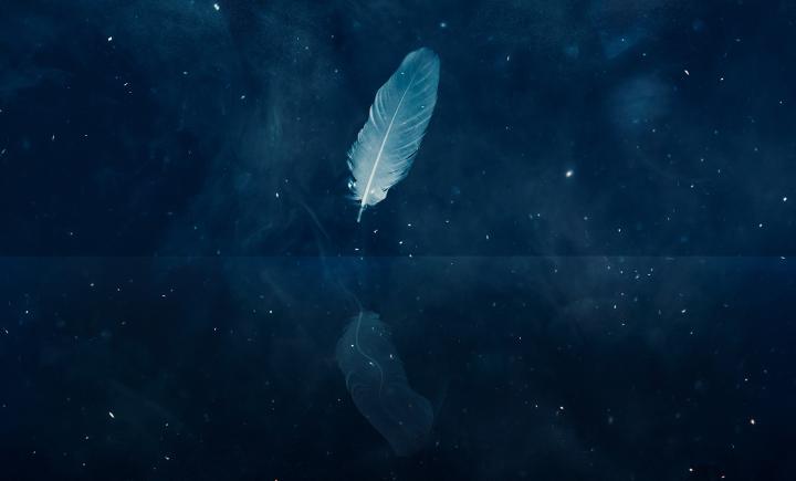 A single white feather reflected in gently moving water against a backdrop of an indigo and starry sky.