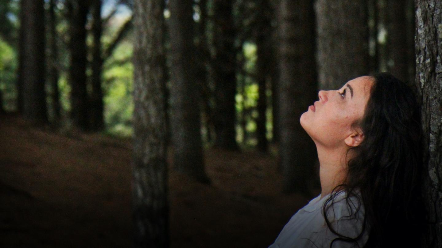 A woman stood in a tall forest looking upwards