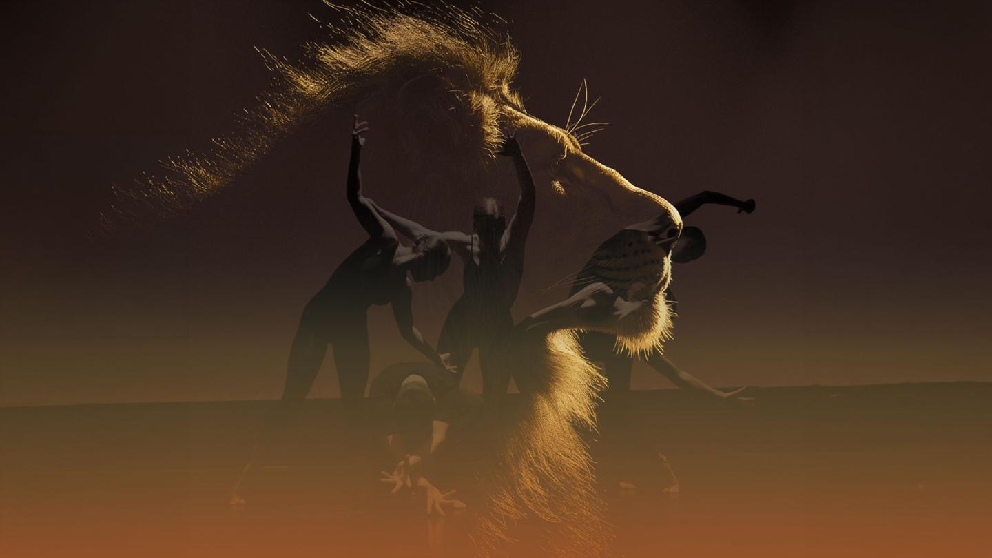 The outline of a male lion, its main and profile lit, through the shade you can see five dancers on stage