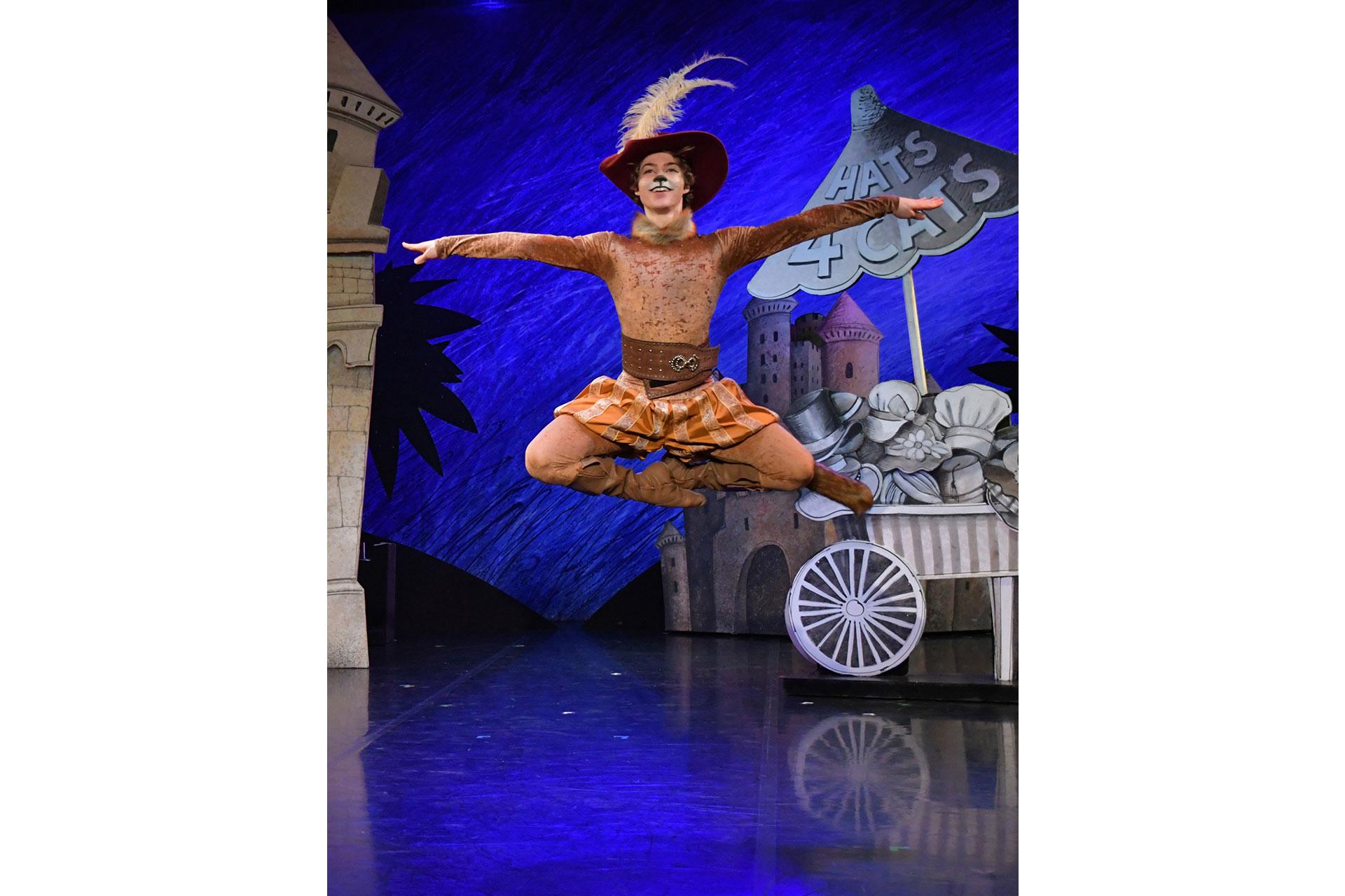 Puss in boots in his belt, boots and very fine hat