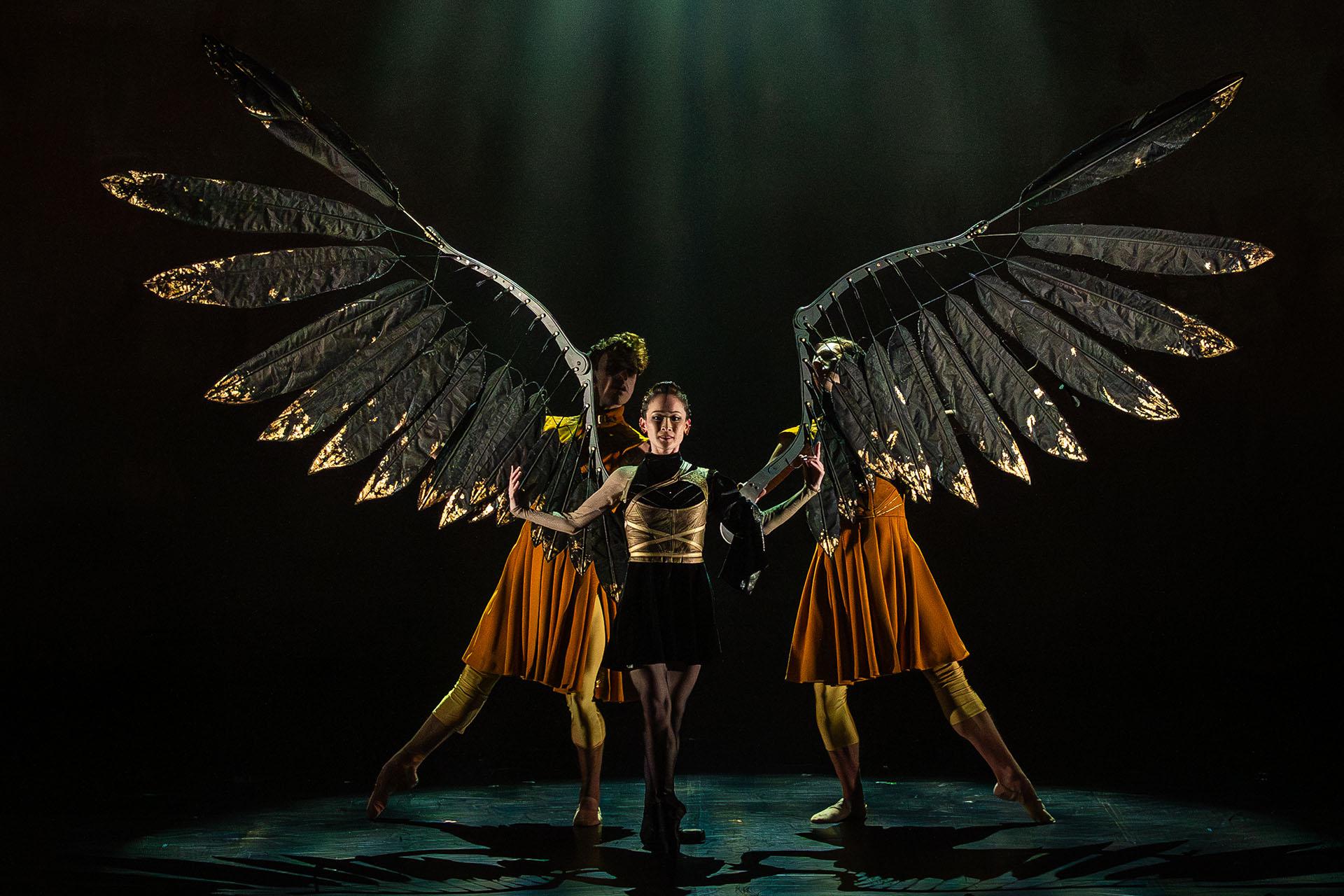 Morgan in black, wings larger than her body impressive and extended