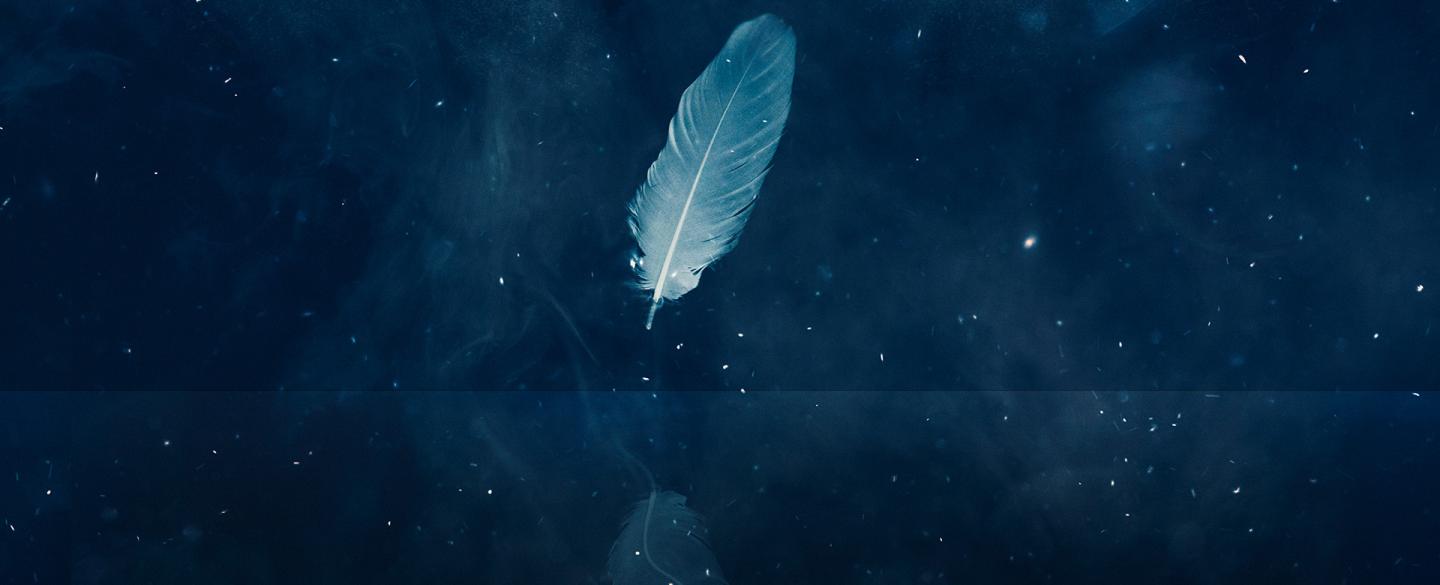 A single white feather reflected in gently moving water against a backdrop of an indigo and starry sky.