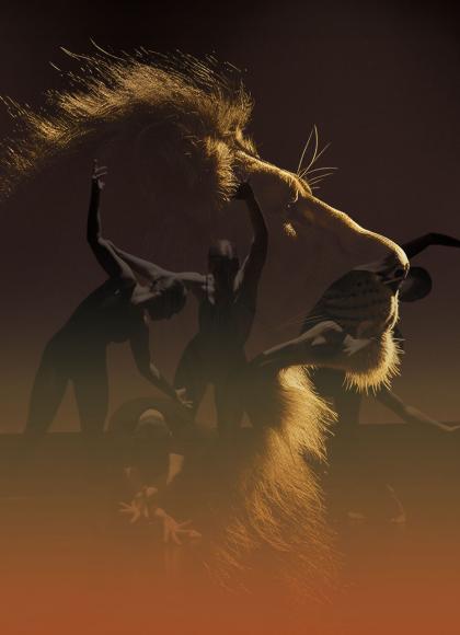 The outline of a male lion, its main and profile lit, through the shade you can see five dancers on stage