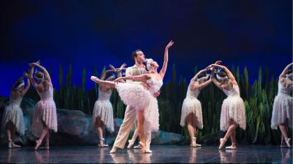 Anthony falls in love with the swan, Odette