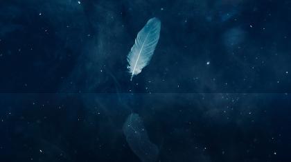 A single white feather reflected in gently moving water against a backdrop of an indigo and starry sky.